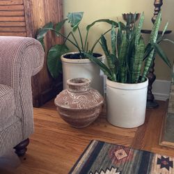 Terra Cotta Planter Pot