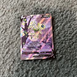 Celebi V Alternet Art