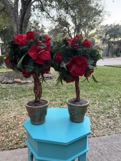 Flower 🌹 20$ Both