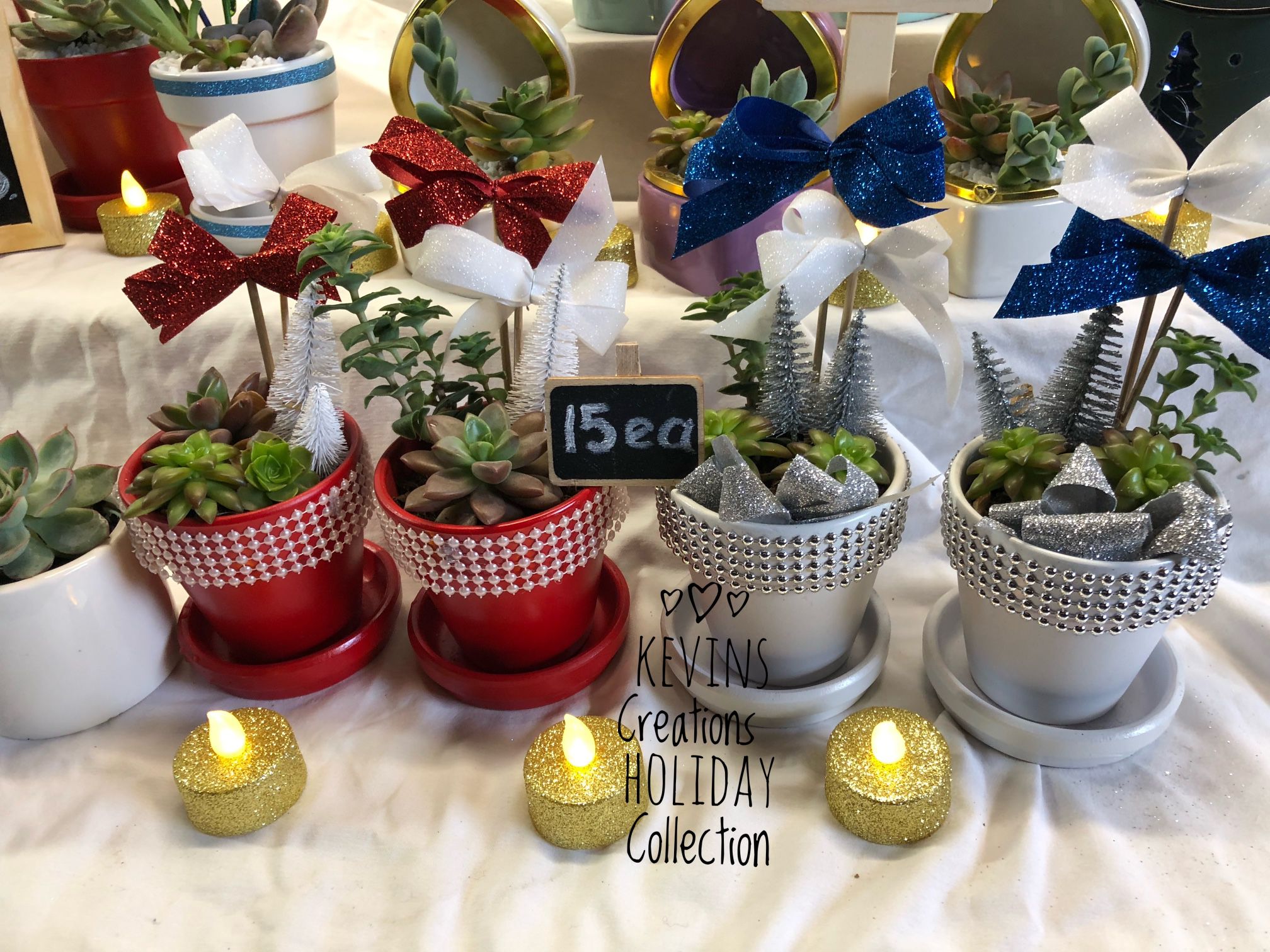 Kevin’s Creations Holiday Collection Beautiful Succulent Arrangements With Battery Powered Waterproof Lights 