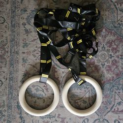 Workout Rings | Calisthenics, Gymnastics, Home Gym 