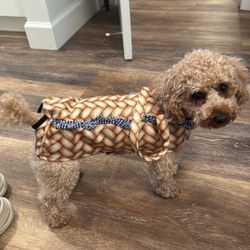 Basket Dog Costume (wizard Of Oz) Toto