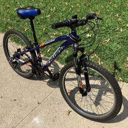 Schwinn Bike 24”