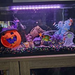 Top Fin LED Black Glass Aquarium 10 Gallon Fish Tank 