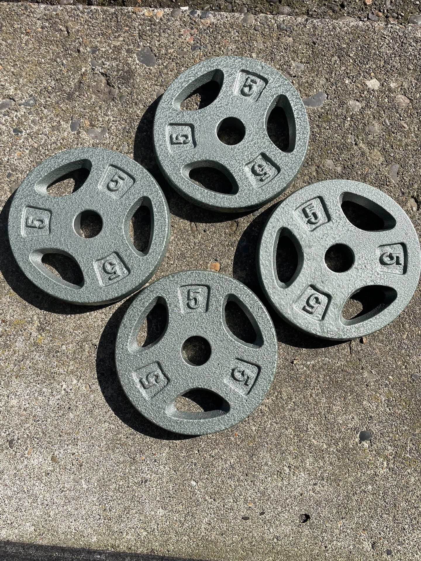 5 Pound Plates