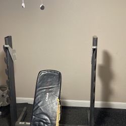 Weight Bench 