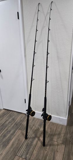 Penn Squall Rod with 50LD Reel