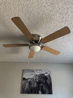 Ceiling fan