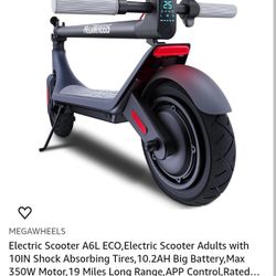 Electric Scooter 