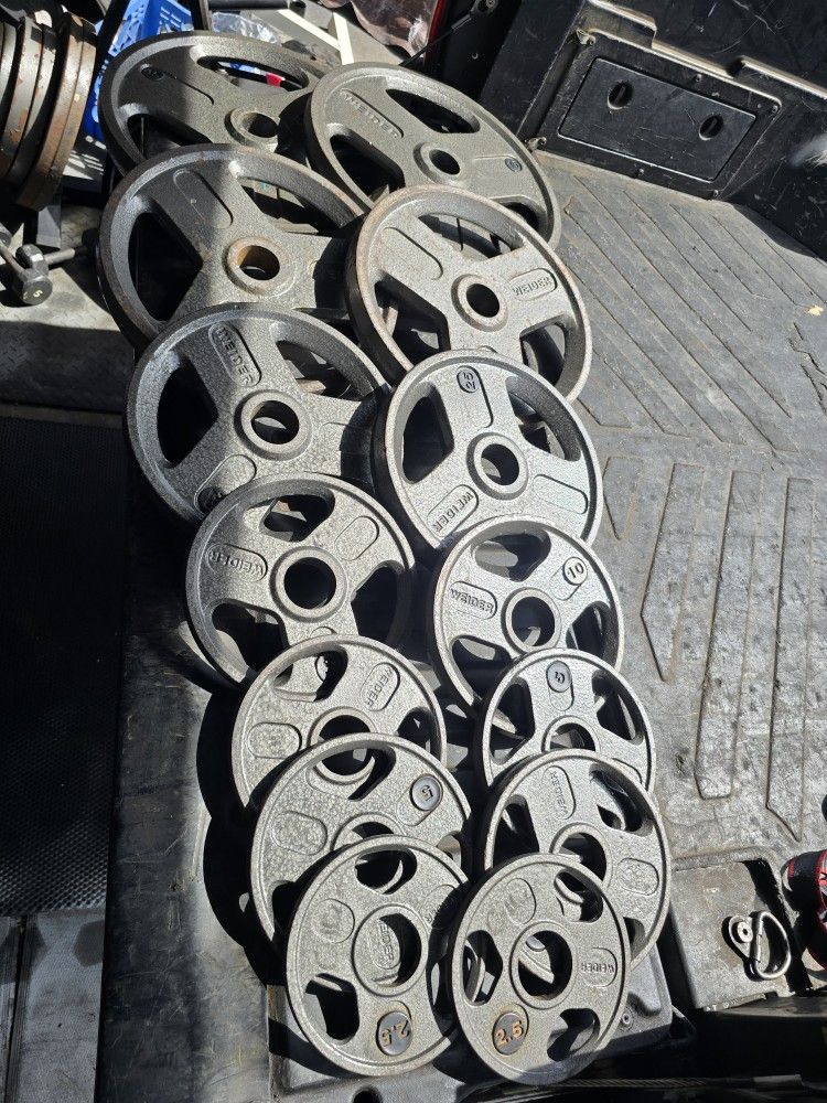 Weight Olympic Plates