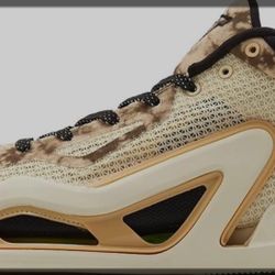 Jordan Basketball Shoes