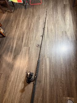 Penn fierce ll 8000 reel with Penn carnage ll pole