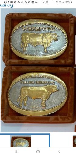 Award Winning Classics Steer&COWBOYS Buckle Brand 