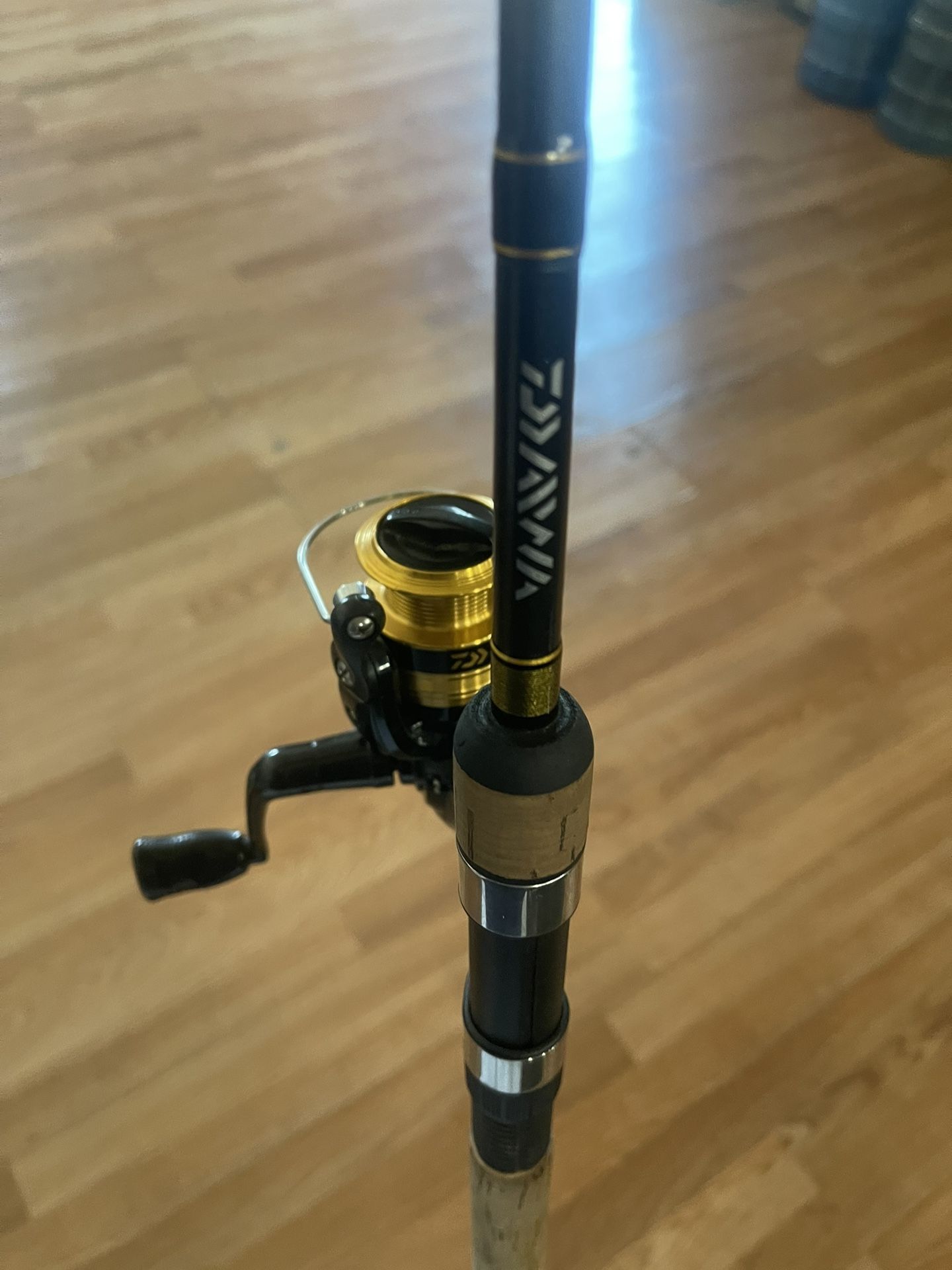 Dshock Rod And Reel combo