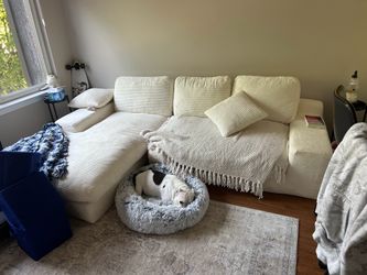 6 month old couch