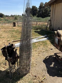 Large Tomato Cages
