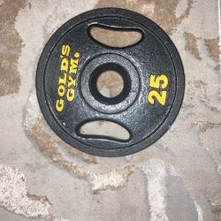 2 Olympic Sized Weight Plates 
