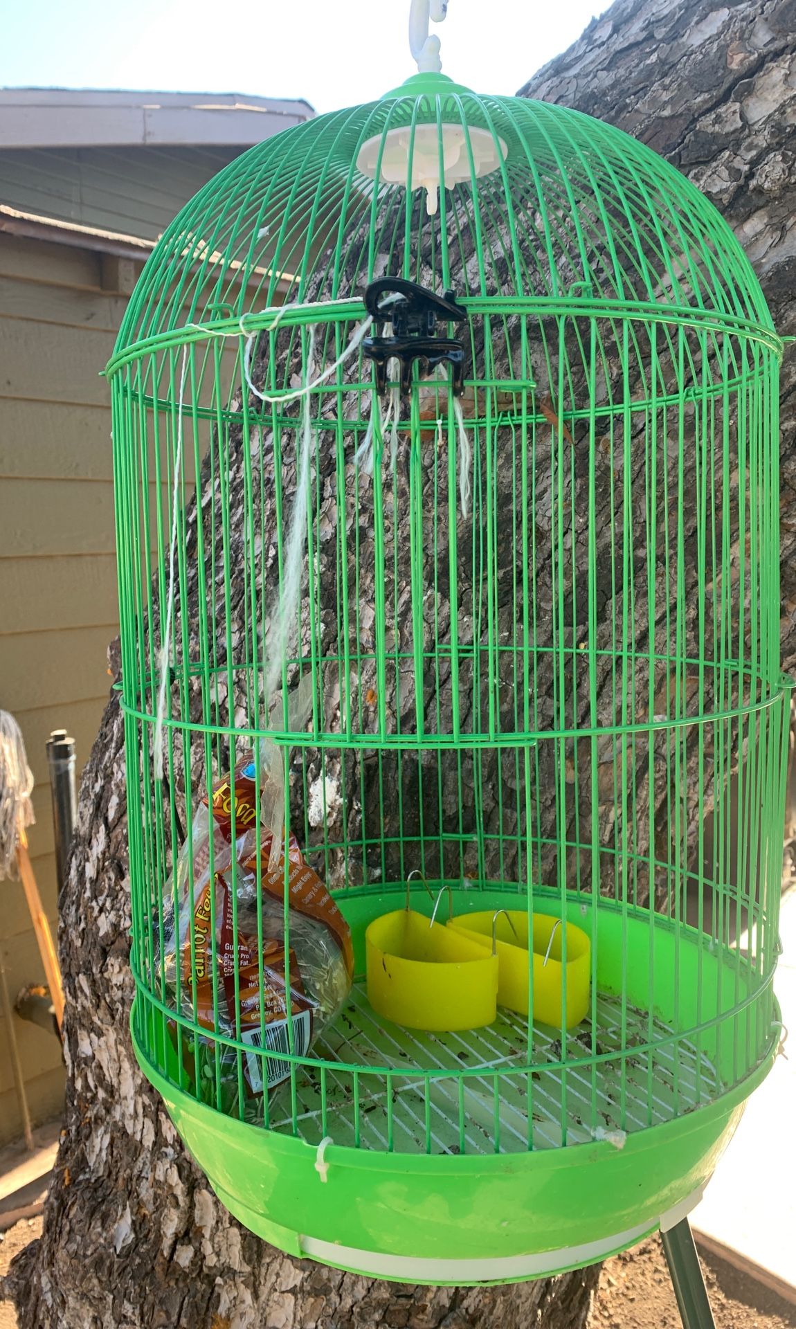 Used bird cage