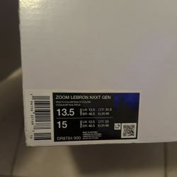 Zoom LeBron Nxxt Gen