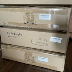 16in. Flush Mount Lights