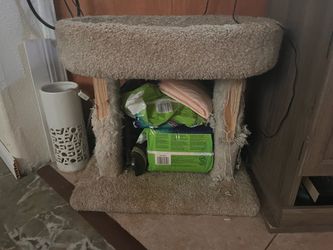 Cat perch