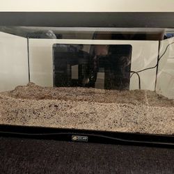 10 Gallon Tank