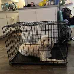 Dog Crate 