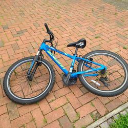 Schwinn trasher woman's bike