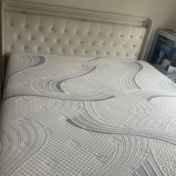 Bed Frame 
