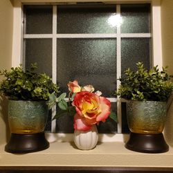 3 Decorative Plants