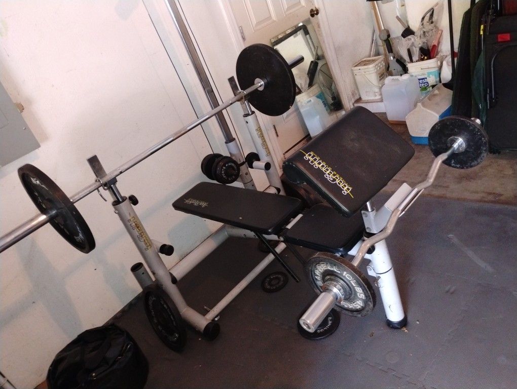 Workout Bench With 255lbs Cast Iron Plates