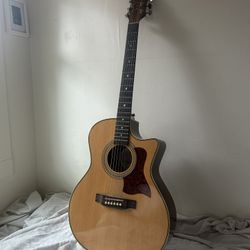 Luna Guitar AMF 100