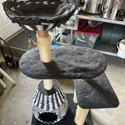 Cat Condo FREE