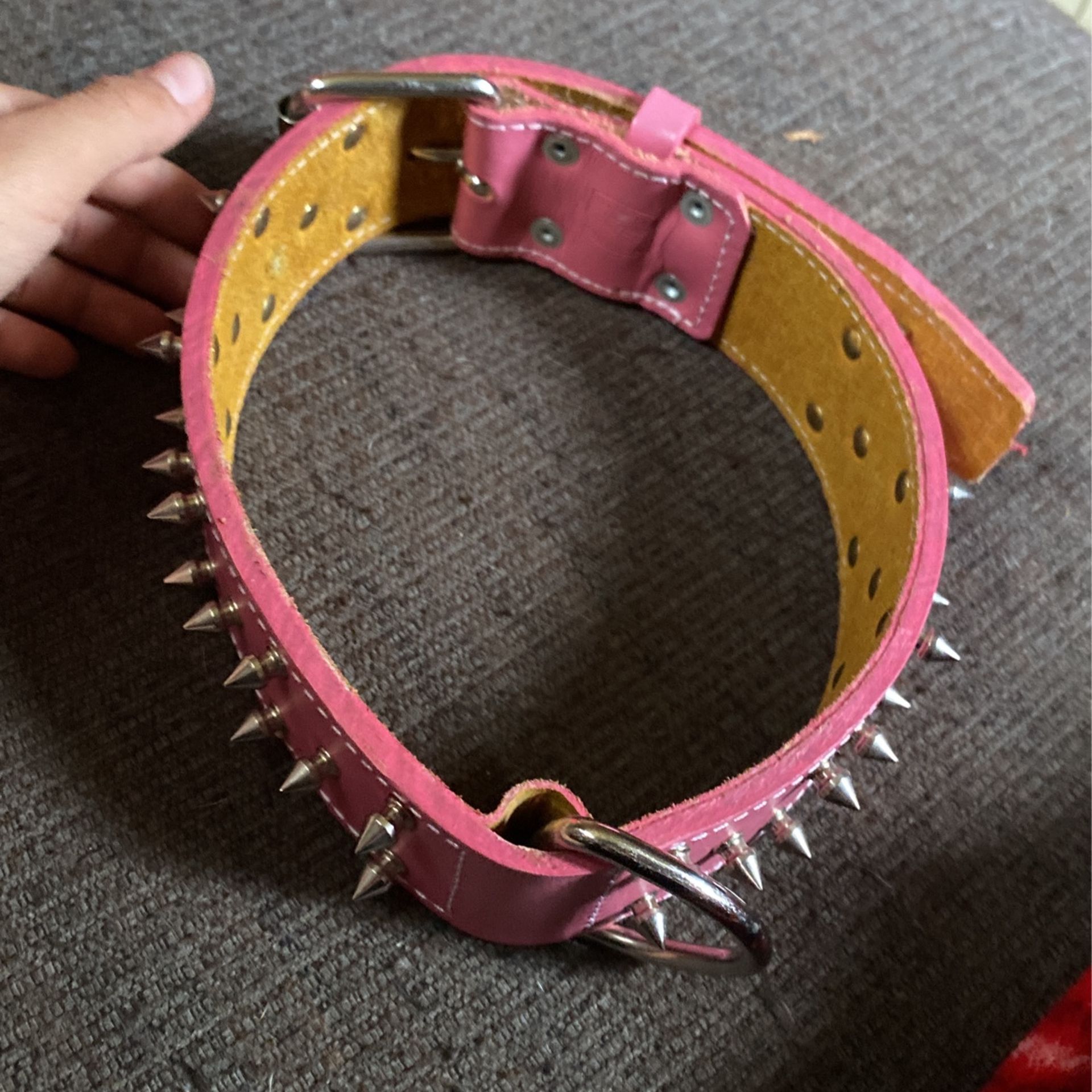 Big Dog Collar