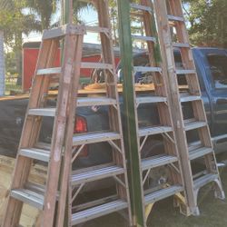 8ft And 6ft Werner And Louisville Ladders