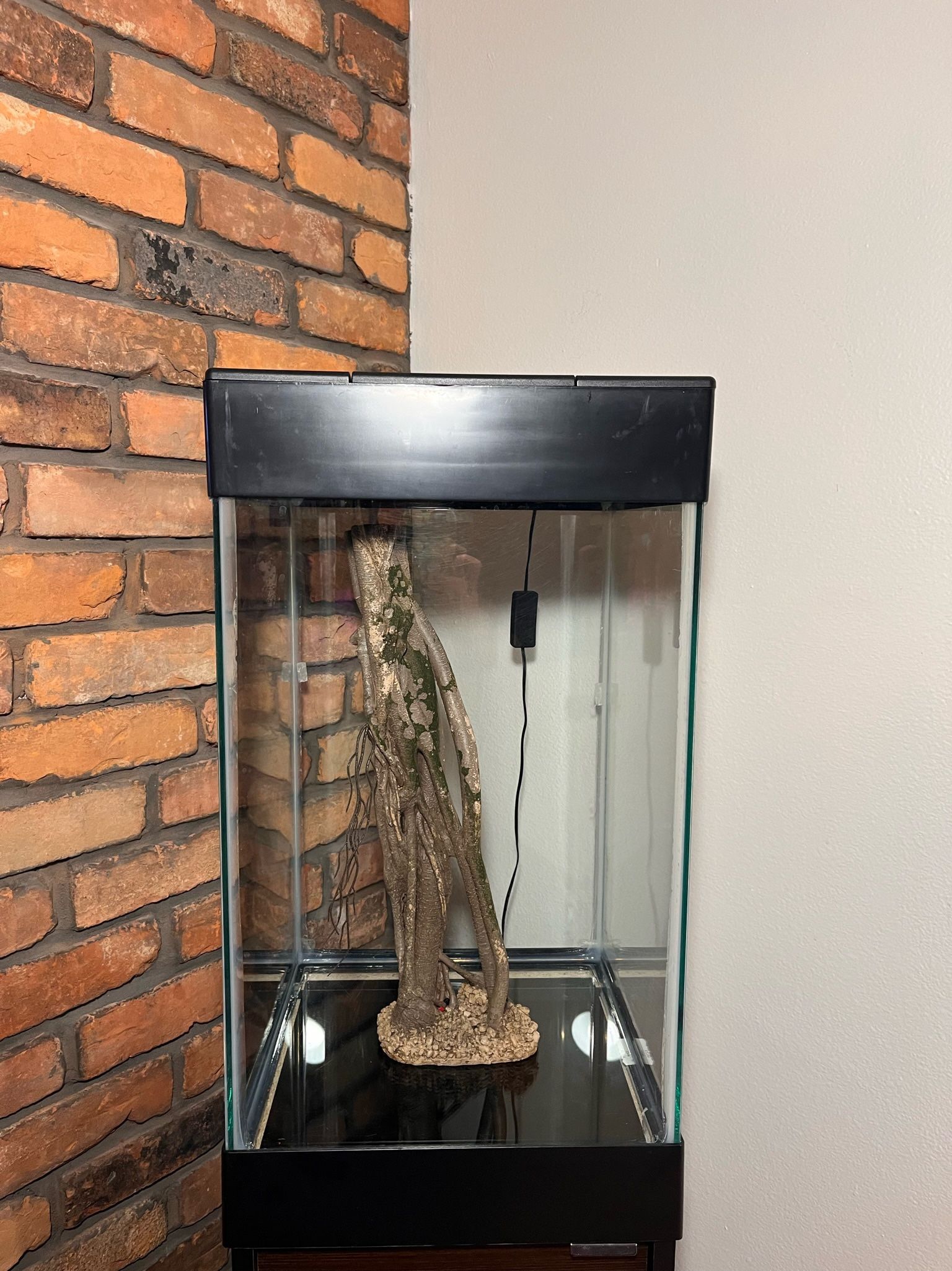 Tall Fish Tank with Stand