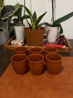 Set of 6 Indian Terracotta Clay Cups