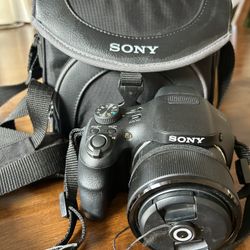 Sony Cybershot DSC HX300 With a Case