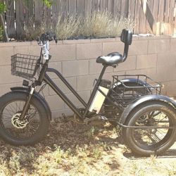 Tricycle Electric 