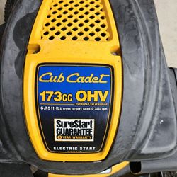Cub Cadet Lawn Mower & Homelite Weedeater 