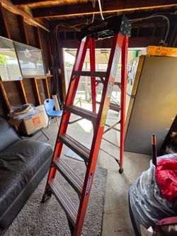 Warner 6ft ladder