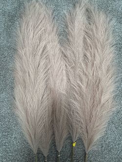 Dried Pampas Grass Stems Bundle