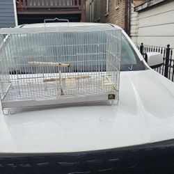 Bird Cage 