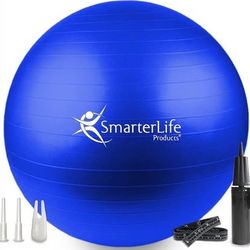 Exercise Ball SmarterLife Premium Exercise Ball 65cm Yoga Ball Fitness Balance Stability NIB