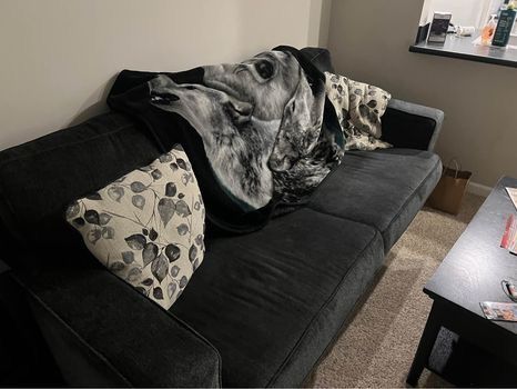 Black couch 