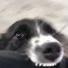 Tino