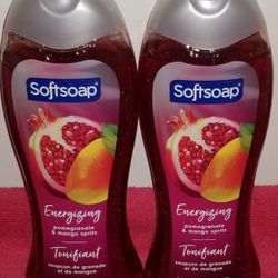 Softsoap Body Wash 20oz Each 