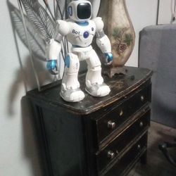 Roku Robot