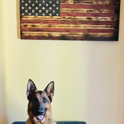 Rustic American Flags