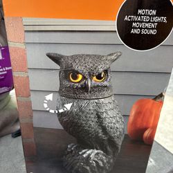 NEW Animated Spooky Owl By Ashland Halloween